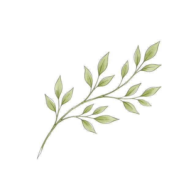 Branch Illustration